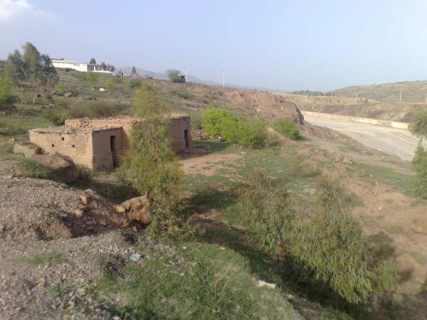 د نرياب حاصلخېزې پټۍ او باغونه